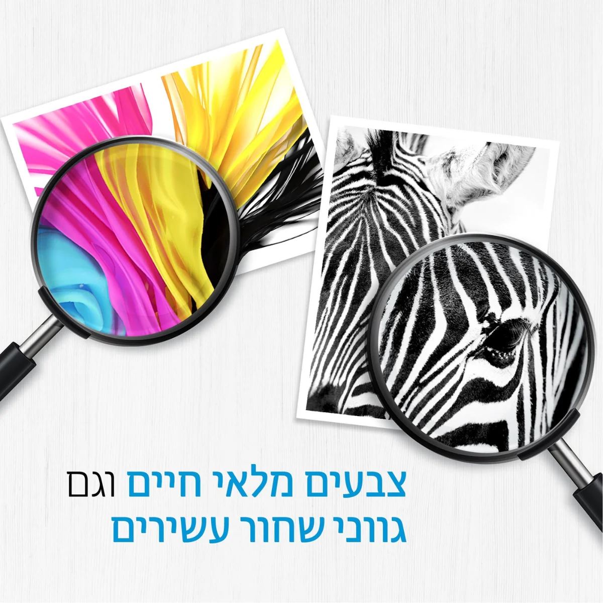 תמונת מוצר 3
